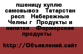 пшеницу куплю, самовывоз - Татарстан респ., Набережные Челны г. Продукты и напитки » Фермерские продукты   